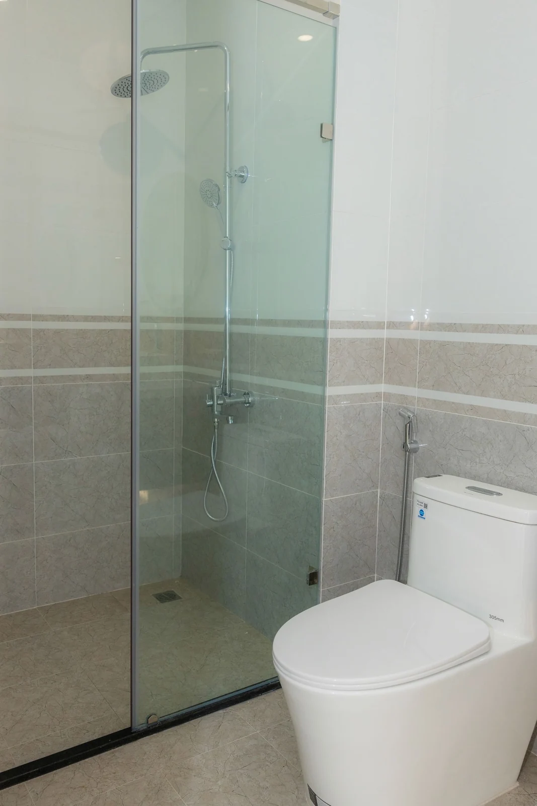 Glass shower enclosure and toilet