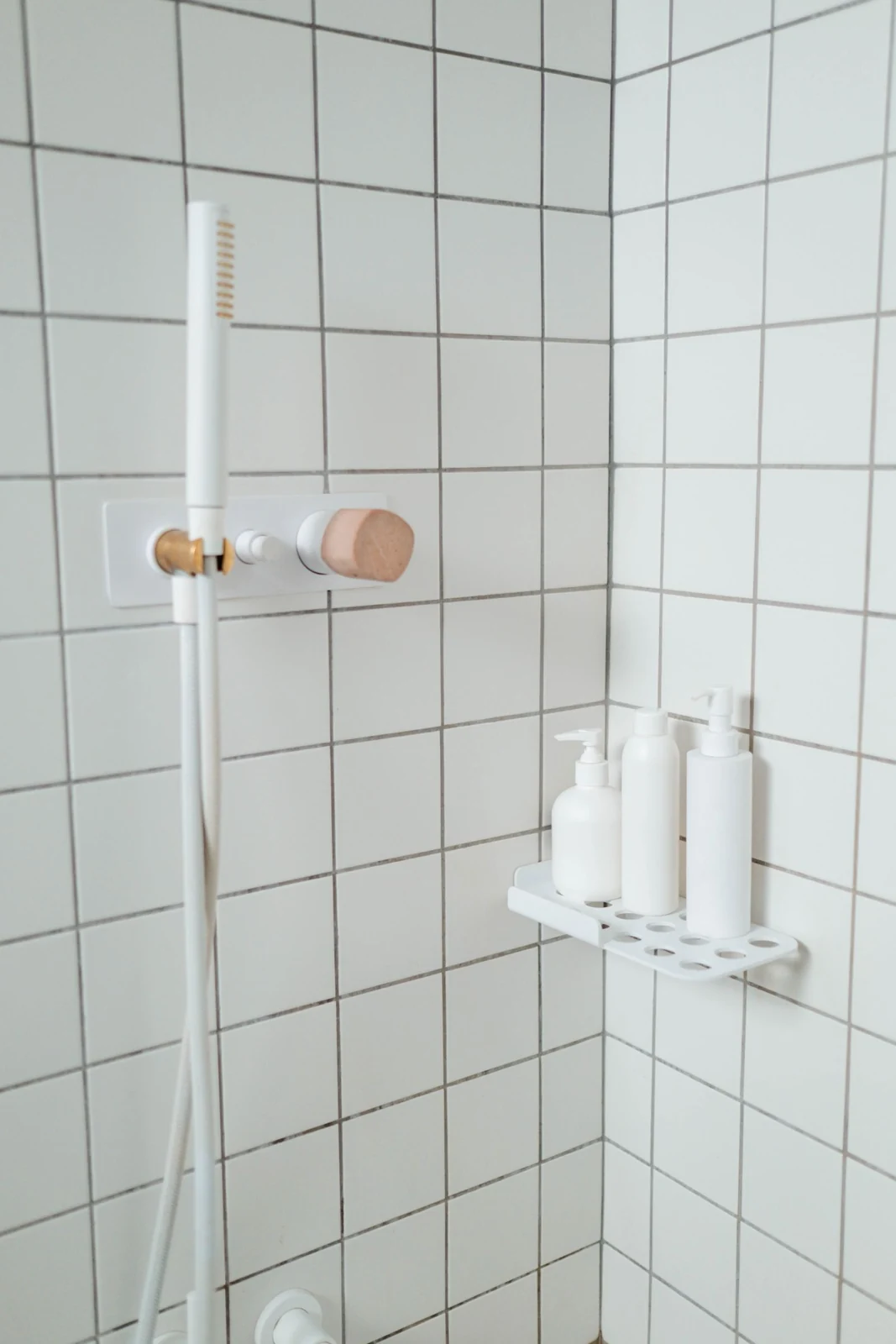 Bathroom shower caddy and toiletries